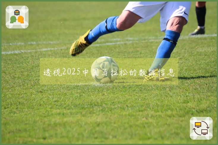 透视2025中国马拉松的数据信息