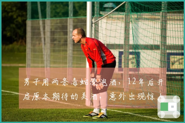 男子用两条毒蛇浸泡酒，12年后开启原本期待的美酒，意外出现惊人结果