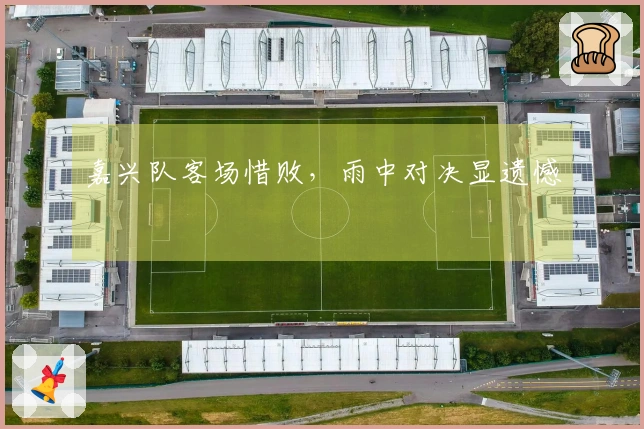 嘉兴队客场惜败，雨中对决显遗憾